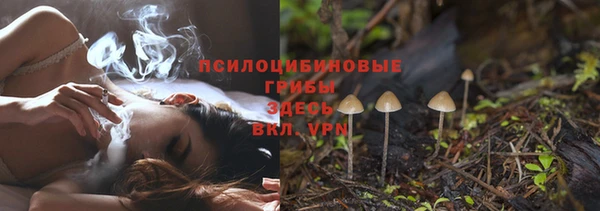 марки lsd Богородицк