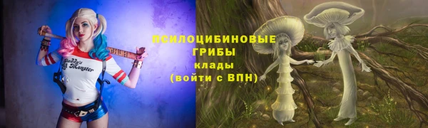 не бодяженный Бородино