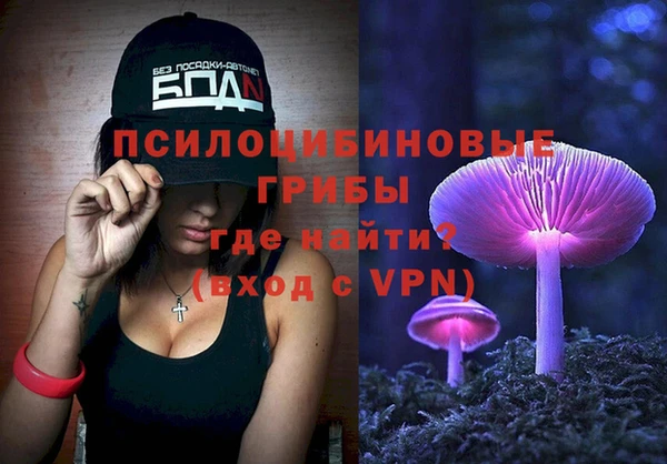 марки lsd Богородицк