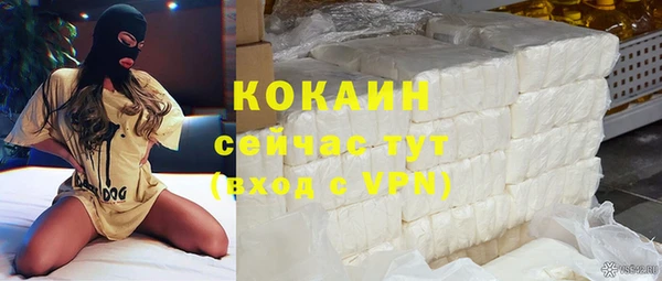 не бодяженный Бородино