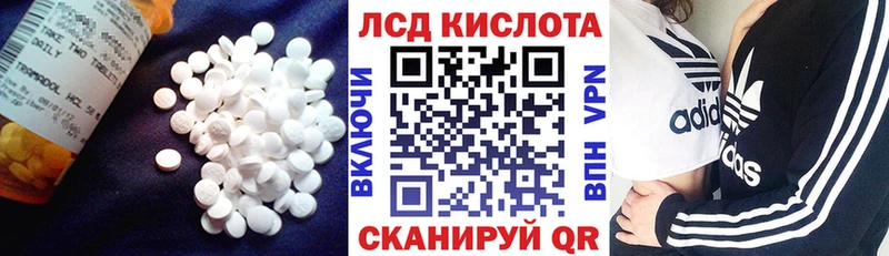 МЕГА онион  где найти   Гороховец  Лсд 25 экстази ecstasy 